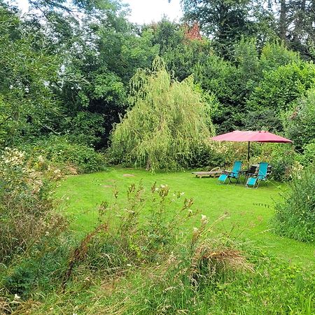 Kingsley Cottage - Beautiful Riverside Setting Beaworthy Esterno foto