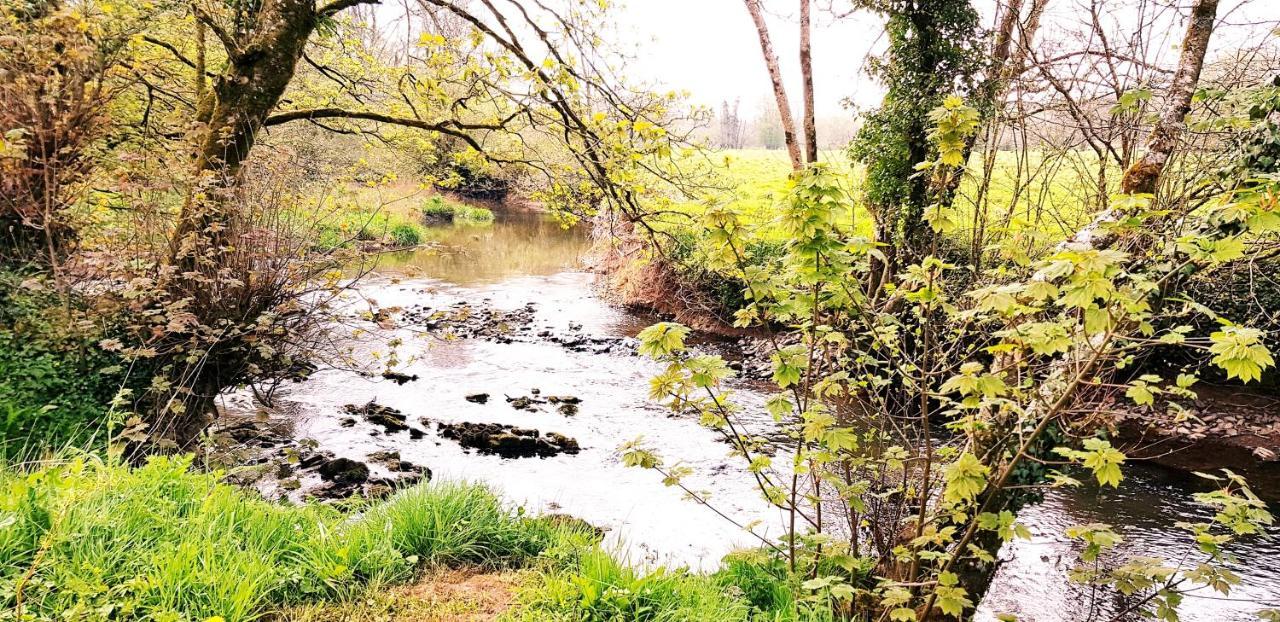 Kingsley Cottage - Beautiful Riverside Setting Beaworthy Esterno foto