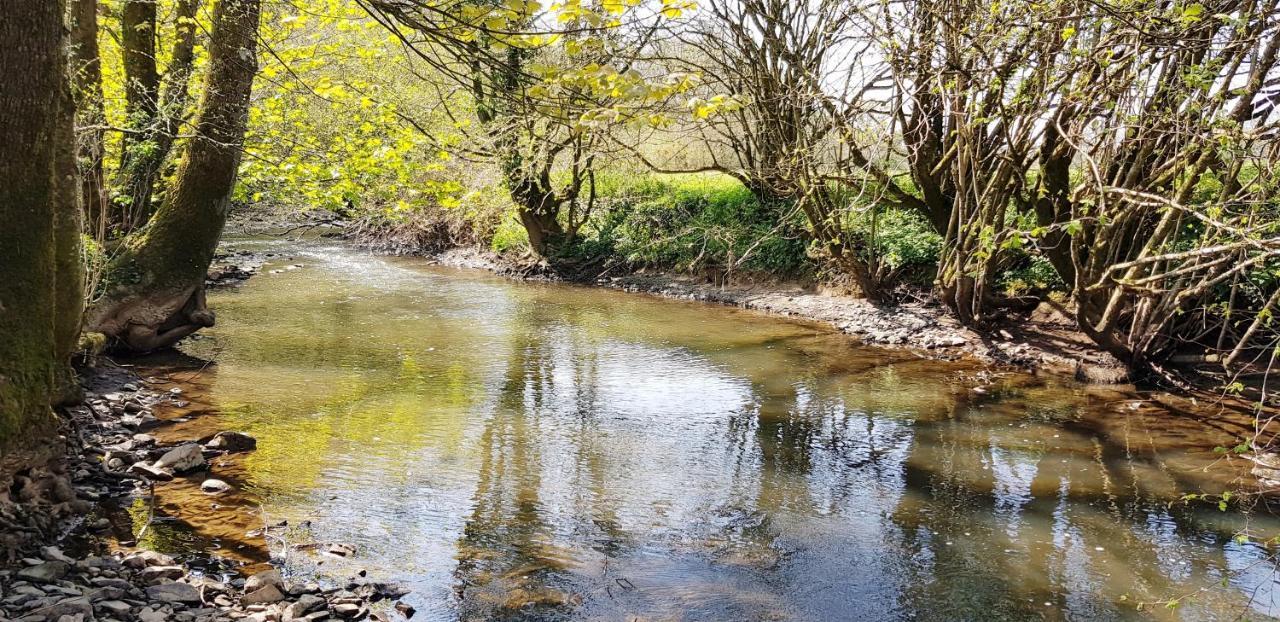 Kingsley Cottage - Beautiful Riverside Setting Beaworthy Esterno foto