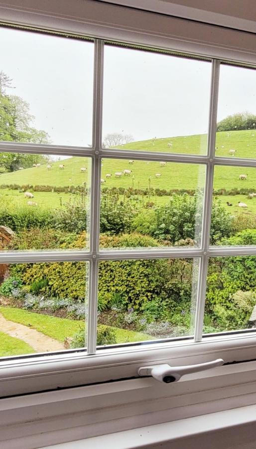 Kingsley Cottage - Beautiful Riverside Setting Beaworthy Esterno foto