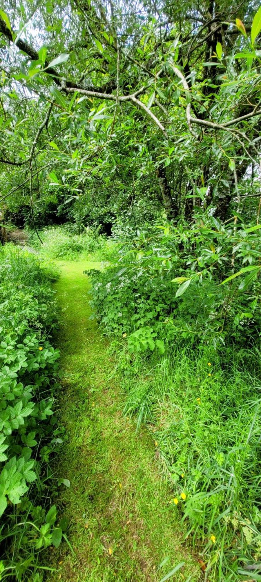 Kingsley Cottage - Beautiful Riverside Setting Beaworthy Esterno foto