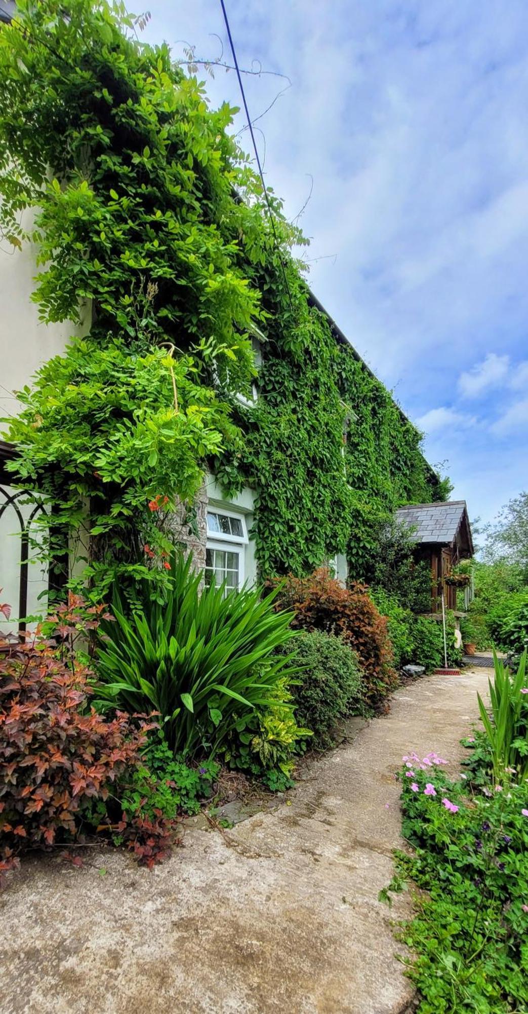 Kingsley Cottage - Beautiful Riverside Setting Beaworthy Esterno foto