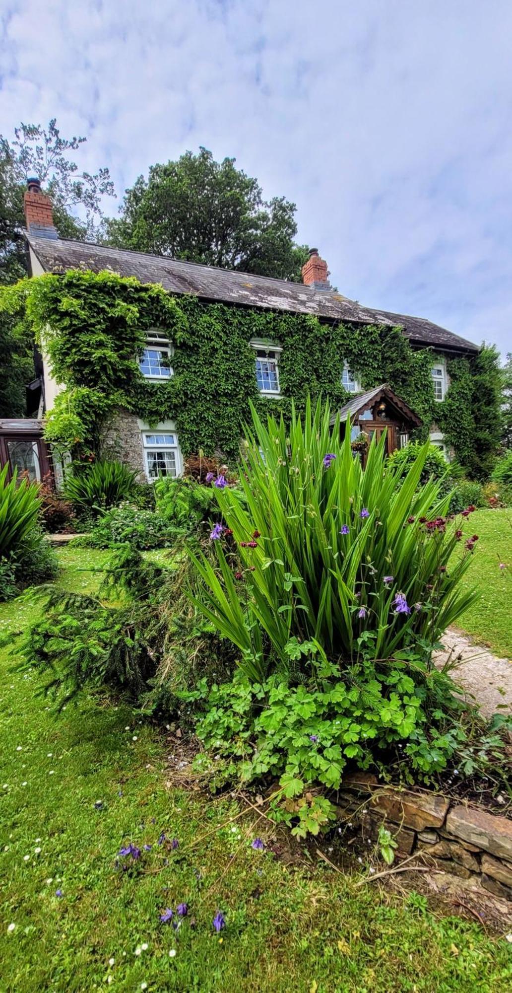 Kingsley Cottage - Beautiful Riverside Setting Beaworthy Esterno foto