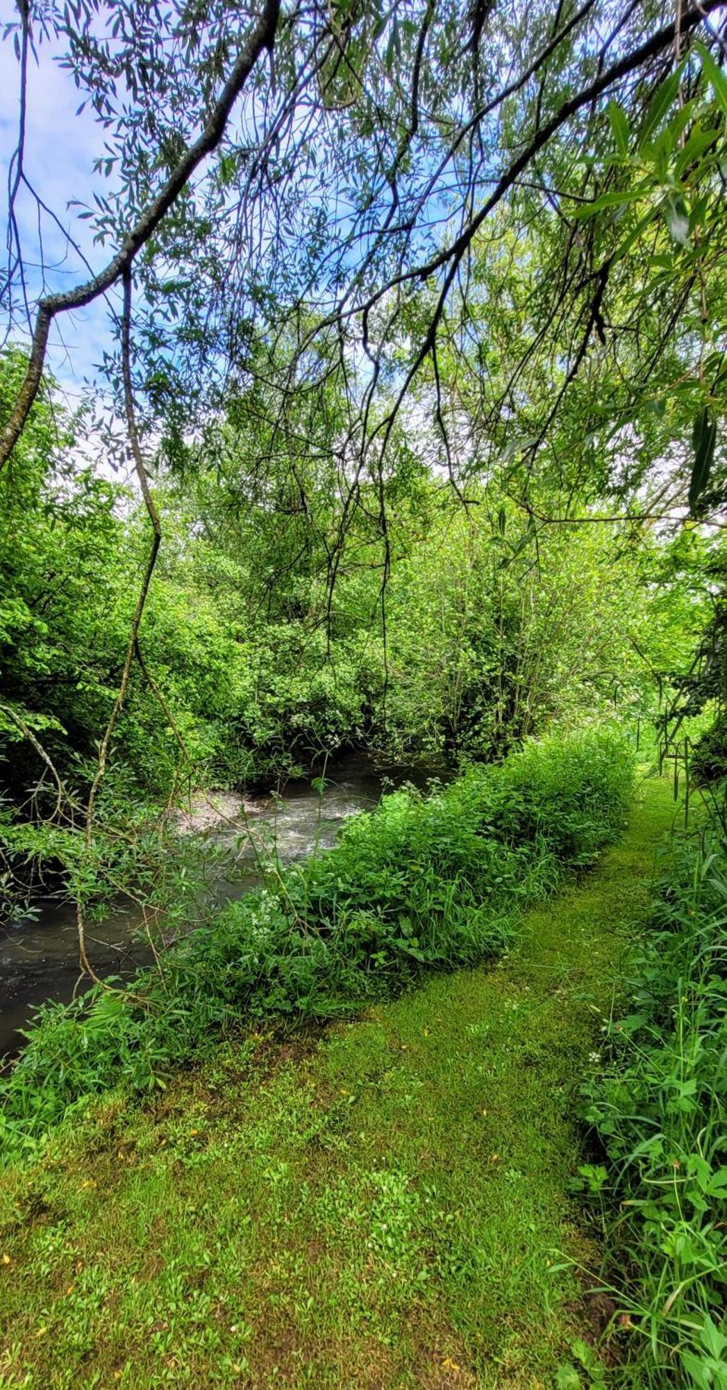 Kingsley Cottage - Beautiful Riverside Setting Beaworthy Esterno foto
