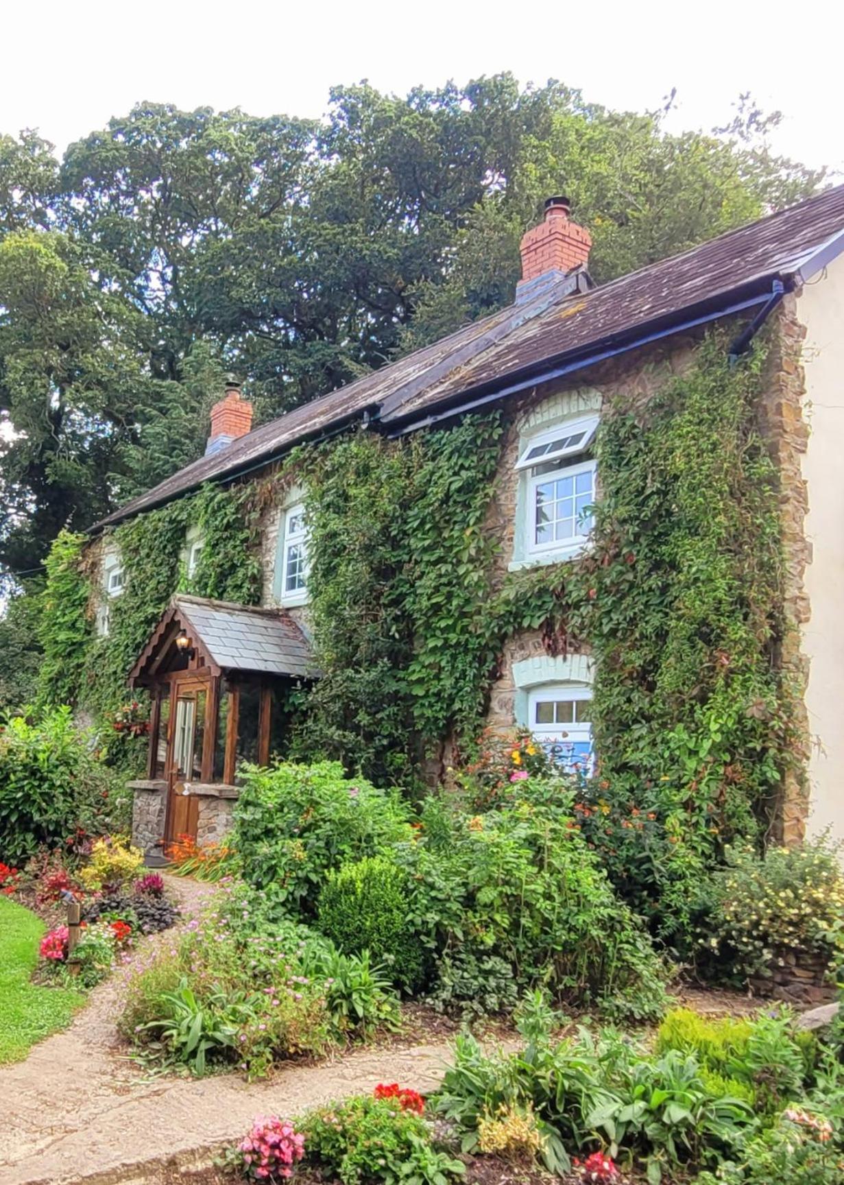 Kingsley Cottage - Beautiful Riverside Setting Beaworthy Esterno foto