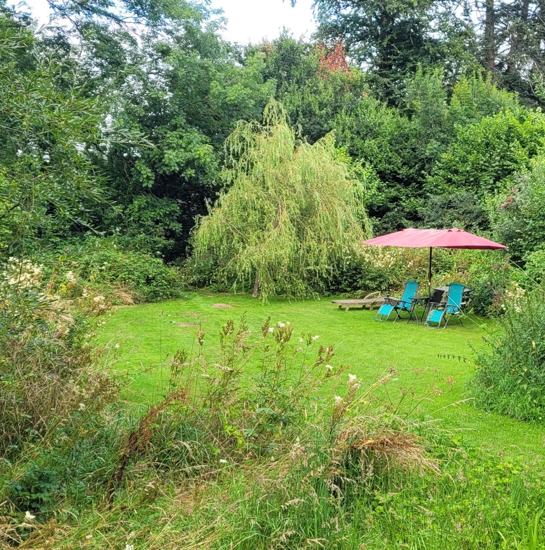 Kingsley Cottage - Beautiful Riverside Setting Beaworthy Esterno foto
